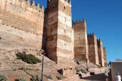 IMG-20231001-WA0008