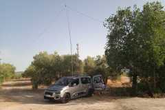 IMG-20220612-WA0011