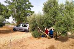 IMG-20210711-WA0009