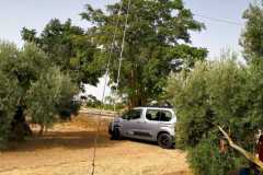 IMG-20210711-WA0010