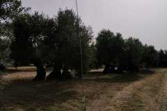 IMG-20210711-WA0014