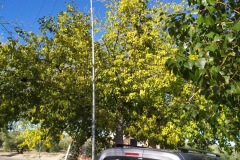 EA7KHF DME 23069-MVJ 0255-EJ 055
PORCUNA, ERMITA DE ALHARILLA