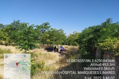 MVJ-0160 HOSPITAL MARQUESES LINARES