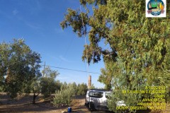 EA7KHF- DME23055 - MVJ-1415