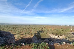 IMG20240128101028