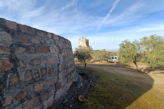 IMG20240128101521