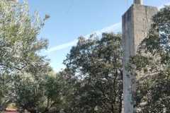 IMG-20191027-WA0044
