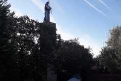 IMG-20191027-WA0069