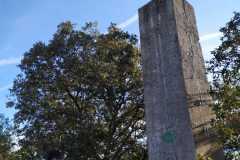 IMG-20191027-WA0077