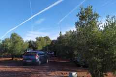 IMG-20191027-WA0081